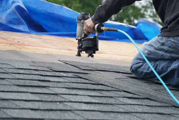 Best Storm Damage Roof Repair  in Dunlap, TN