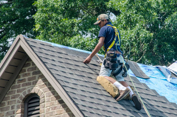 Best Roof Leak Repair  in Dunlap, TN